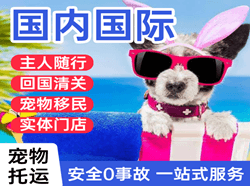 长乐国际宠物托运 【国